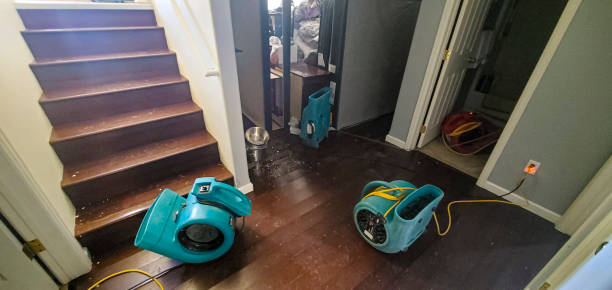 Best Flood restoration services  in Fifth Ward, LA