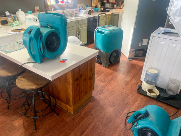 Best Fire Damage Restoration  in Fifth Ward, LA