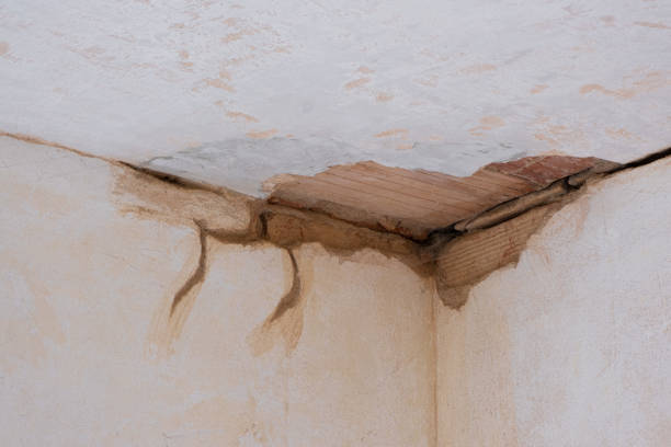 Best Sewage cleanup and water damage restoration  in Fifth Ward, LA