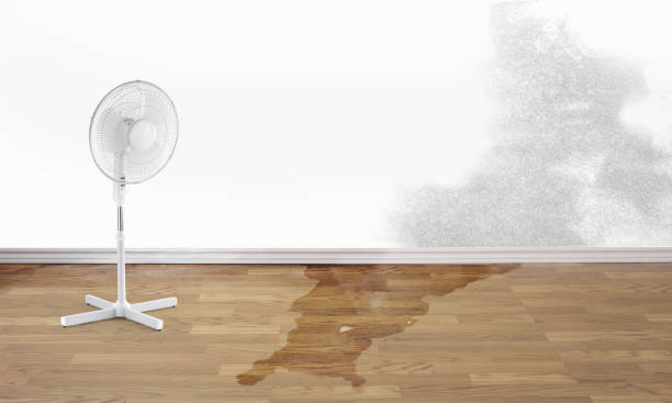 Best Commercial water damage restoration  in Fifth Ward, LA