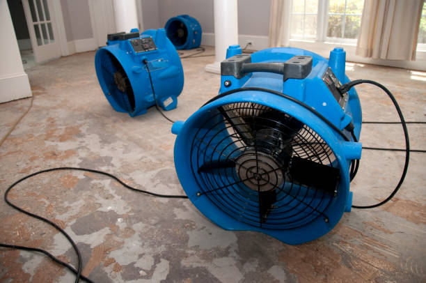 Water damage restoration mold remediation in Fifth Ward, LA