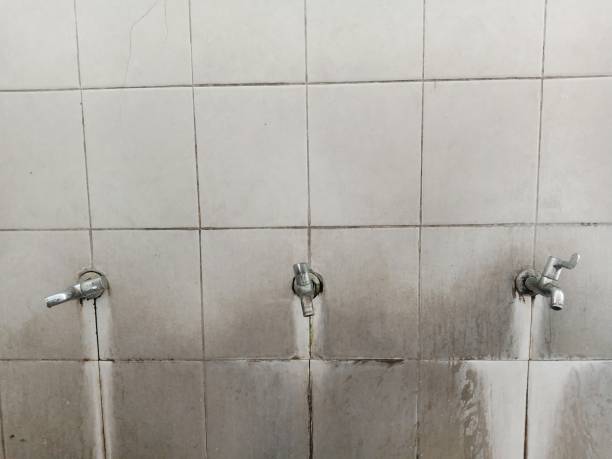 Best Emergency water damage restoration  in Fifth Ward, LA