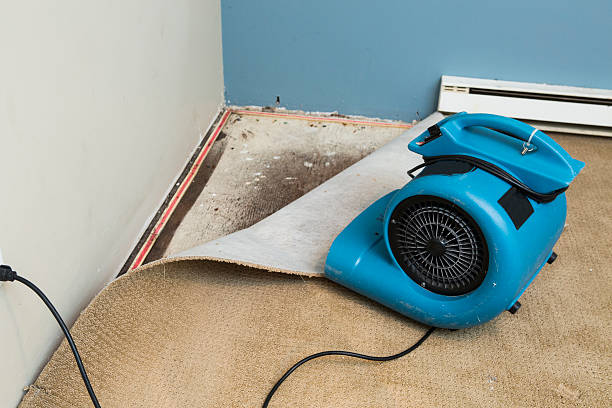 Best Flooded house restoration  in Fifth Ward, LA